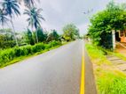 (AFA175) 171. 31 P Commercial Land for Sale Facing Main Road Padduka