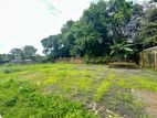 (AFA217) 20 P Land Sale At Pelawatha Battramulla