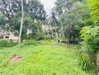 (AFA219) 12 P Land Sale At Pelawatha Battramulla