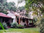 (AFA25) Spacious House with 51 P Land For Sale At Maharagama