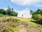 (AFA256) 13.92 P Super Bare Land Sale at Thalawathugoda
