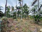 (AFA287) 172 P Land for Sale At Facing Old High Level Road Homagama