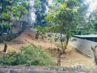 (AFA289) 15.5 P Bare Land Sale At Kalalgoda Thalawathugoda