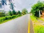 (AFA293) 171. 31 P Commercial Land for Sale Facing Main Road Padduka