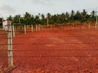 (AFA307) 10 Perch Land Sale At Adiambalama Katunayake