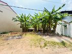 (AFA32) 06 P Land Sale at 4th Lane Galpotha Road Nawala