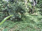 (AFA350) 45 P Land sale at Facing Boralugoda Road Pore Aturugiriya