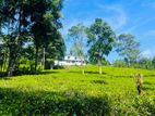 (AFA351) Cottage for sale in kotmale