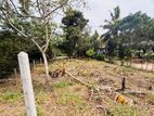 (AFA398) 15 p Bare Land Sale At Thalawathugoda