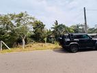 (AFA398) 15 p Bare Land Sale At Thalawathugoda