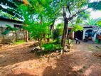 (AFA408) 18 perch With old Single Story House Sale At Piliyandala