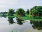 (AFA423) 13.5 P Land Sale At Suriyamal Mawatha Delkada Nugegoda