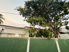 (AFA43) Single Story House With 10 P Sale At Katubeda Moratuwa