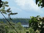 (AFA439) 200 P Beach Facing Land Sale At Sinimodara Tangale