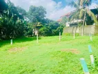 (AFA449) 10.52 Perch Bare Land for Sale Pothuarawa Road Malabe