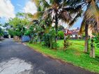 (AFA457) 10 P Super Bare Land Sale At Facing Lake Road Pelawatha