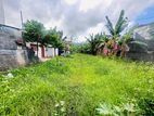 (AFA466) 19 P Land Sale At Pathiragoda Road Maharagama