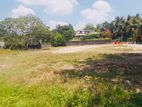 (AFA47) 41 P Bare Land Sale At Thalawathugoda