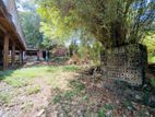 (AFA481) 60 Property with House Sale At 150 M To Main Road Kohuwala
