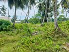 (AFA484) 277 P Beach Facing Land Sale At Rekewa Tangale
