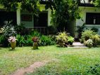 (AFA519) Single Story House Sale At Waragoda kelaniya