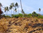 (AFA569) 100 P Beach Facing Land Sale At Hiriketiya Dickwella