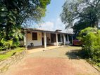 (AFA585)Single Story House Sale At Colombo 05
