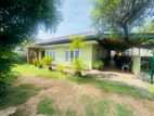 (AFA593) 20 P Land with Single Story House Sale At Maharagama