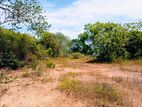 (AFA658) 147.25 P Beach Facing Land Sale At Kahadamodara Rekewa Ranna