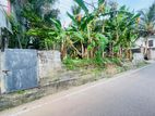 (AFA743) 20 P Bare Land Sale At Uthuwankanda Road Thalawathugoda