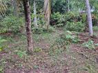 (AFA809) 7 P High Residential Land Makubura Kottawa