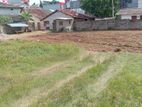 (AFA814) 150 P Super Land Sale At Main Road Facing Ambalantota