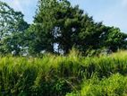 (AFA822) Residential Land at Kaduwela(Kothalawala)