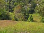 (AFA833) 23P Land for Sale in Malabe