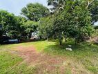 (AFA834) 129 P with Old Single Story House for Sale in Wejerama Nugegoda