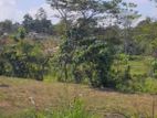 (AFA841) 23 P Land for Sale in Malabe