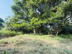 (AFA850) 13.7 P Residential Land at Malabe
