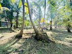 (AFA925) 58 P LAND AT 200 M Galle Road Wadduwa Kaluthara