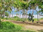 (AFA93) Beach Facing 1310 P ( 08 Acre 30 Perches ) Land Sale At Tangle