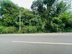(AFA93) Main Road Facing 95 P Sale At Thalawathugoda
