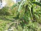Affordable land for sale Boralasgamuwa