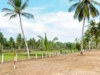 Affordable Land for Sale - Kurunegala (IWB003L)
