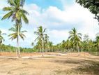 Affordable Land For Sale / Kurunegala (IWB003L))