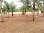 Affordable Residential Land in Homagama