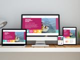 Affordable Website Design Services