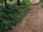 Agalawatta Land for Sale