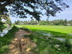 Land for Sale in Tissamaharama