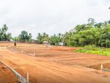 අගනා බිම් කොටස් සුන්දර පරිසරයක පාදුක්ක පාර මොරගහහේන
