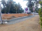 අගනා බිම් කොටස් වැදගත් පරිසරයක ගලවිලවත්ත හෝමාගම