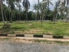 අගනා බිම් කොටස් යක්කල
